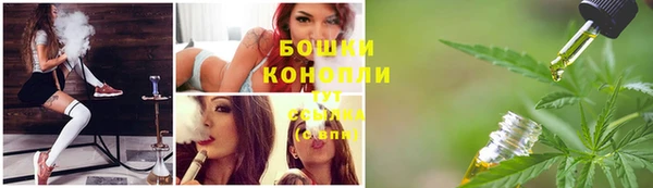прущие грибы Заволжск