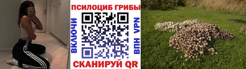 Галлюциногенные грибы GOLDEN TEACHER  omg ССЫЛКА  Салехард 